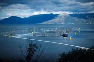 intelsat blog now 14 salmon farming