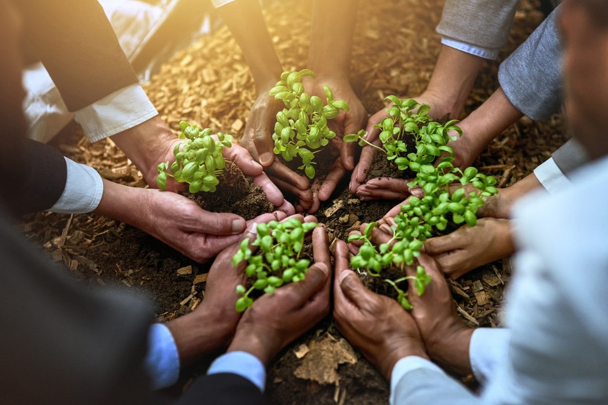 corporate-ressponsibility-hands-holding-greenery