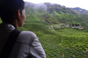 Man Rural 1067530880 CL e1589916008467