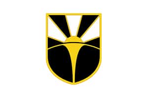 us army combat cpabilities development command insignia