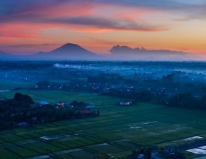 indonesian landscape