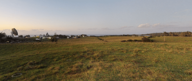 Cattle Grazing Land