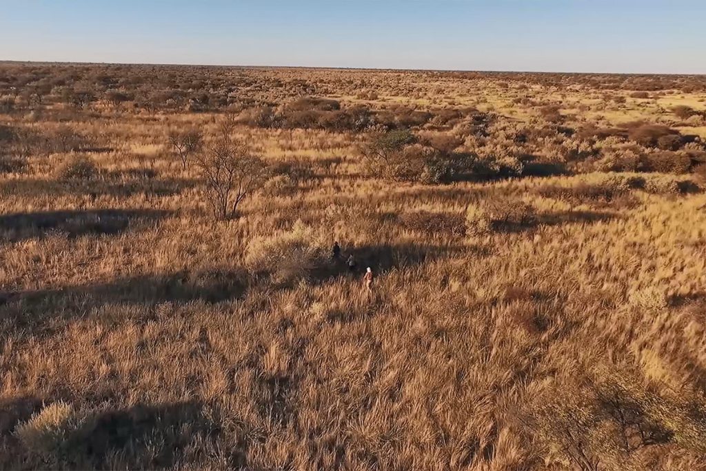 Africa brush hikers