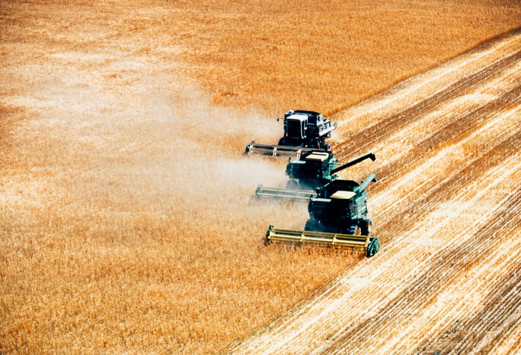combines harvesting