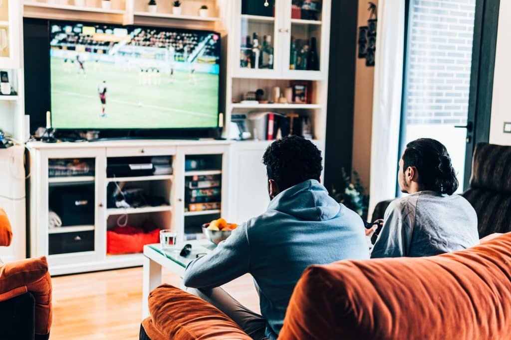 Young Men Playing Soccer Video Game