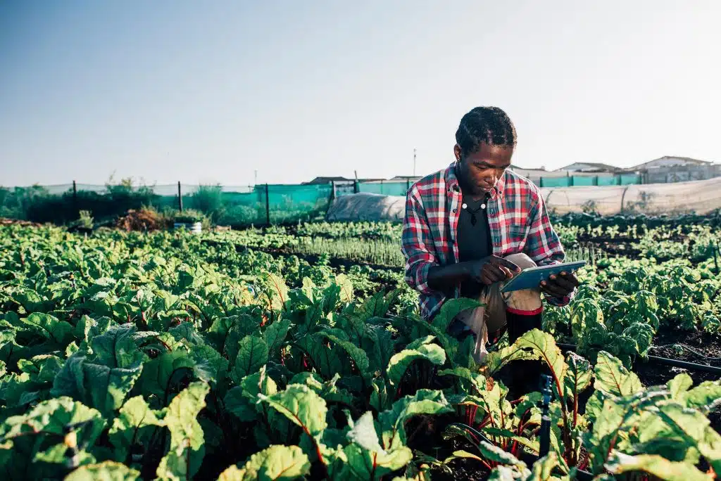 farmer in Africa with tablet